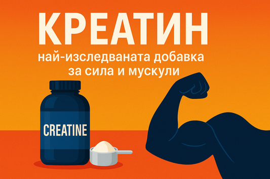 Креатин – най-изследваната добавка за сила и мускули ⚡🏋️♂️