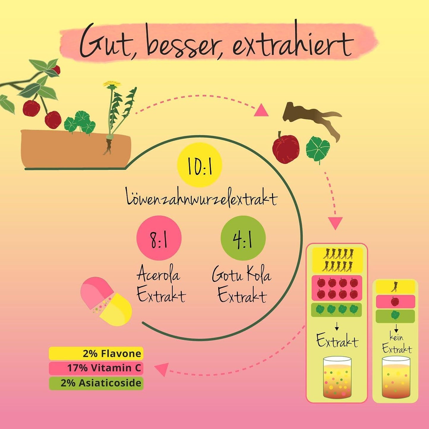 Multivitamin Women Vegavero® | VEGAN | Vitamine & Mineralien für die Frau | Premium Markenrohstoffe | Mit Gotu Kola & Löwenzahn | A-Z Vitamins | Ohne Zusätze | 120 Kapseln - urmax