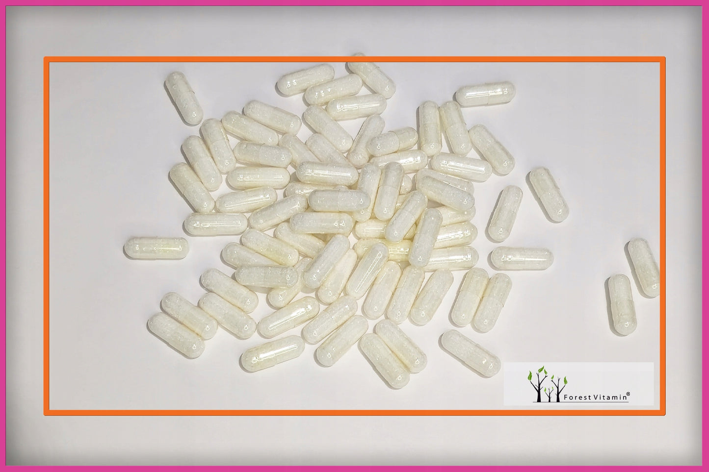 🔥 L-CARNITIN 1000 mg – 100 Kapseln | Waldvitamin
