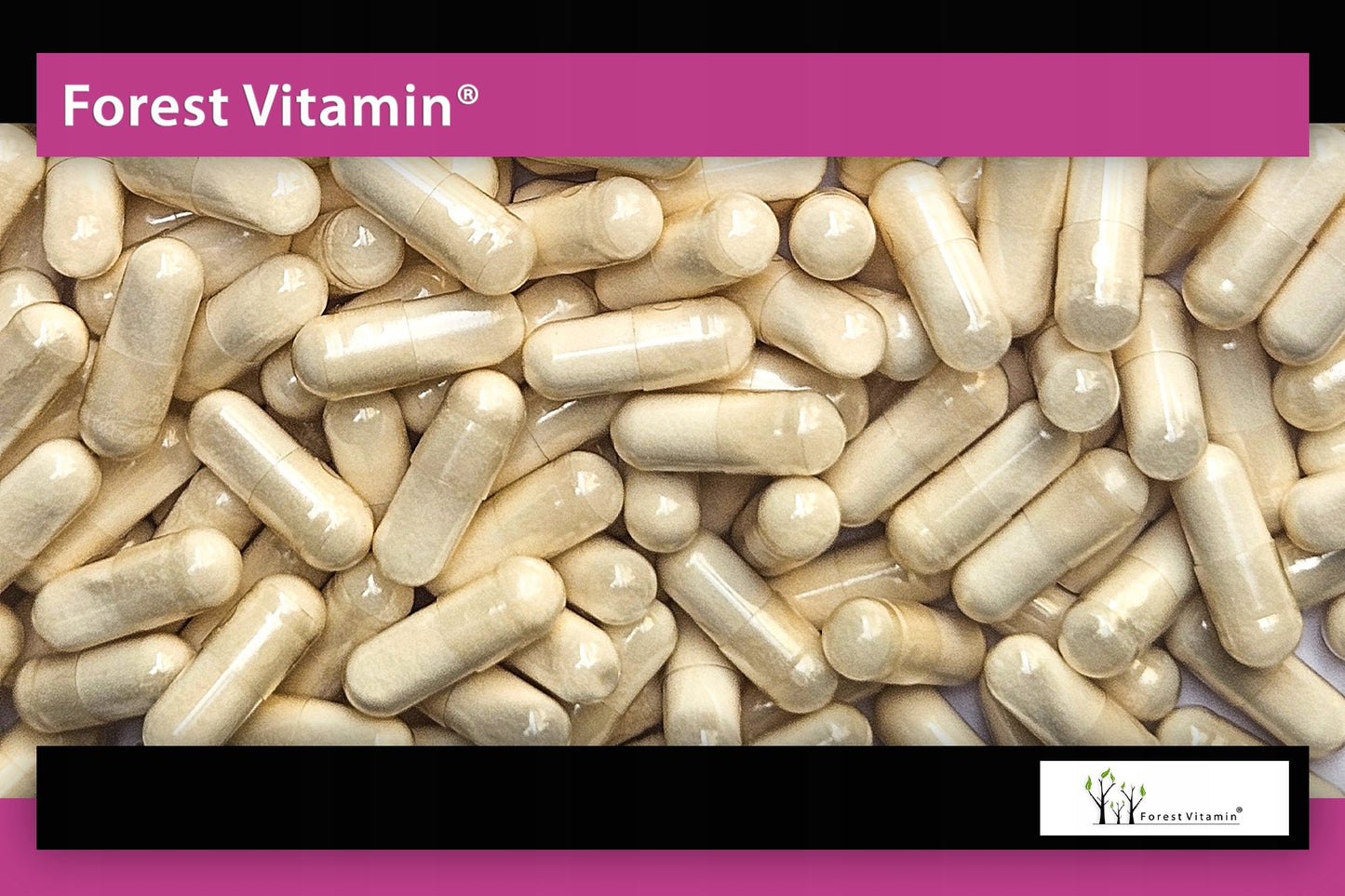 🦠 PROBIOTISCH LactoSpore + INULIN – 60 Kapseln | Waldvitamin