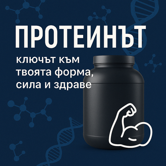 Протеинът – ключът към твоята форма, сила и здраве 💪🔬
