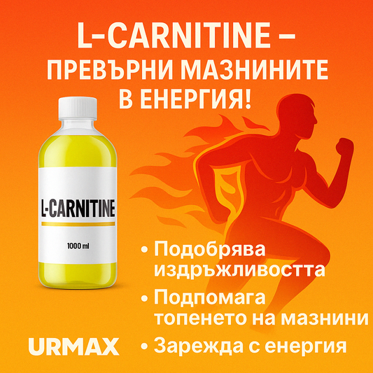 Как L-Carnitine превръща мазнините в енергия – тайното оръжие на спортистите