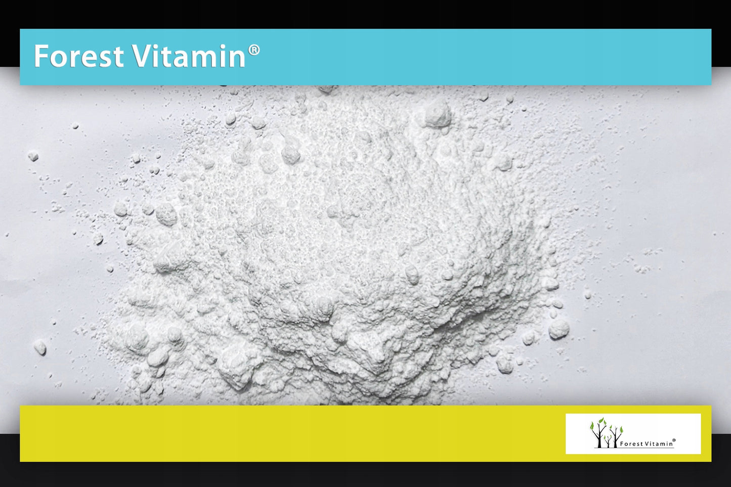 💪 Forest Vitamin L-Glutamin – 100 % reines Glutamin für maximale Erholung! ⚡🏋️