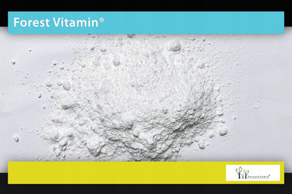 💪 Forest Vitamin L-Glutamin – 100 % reines Glutamin für maximale Erholung! ⚡🏋️