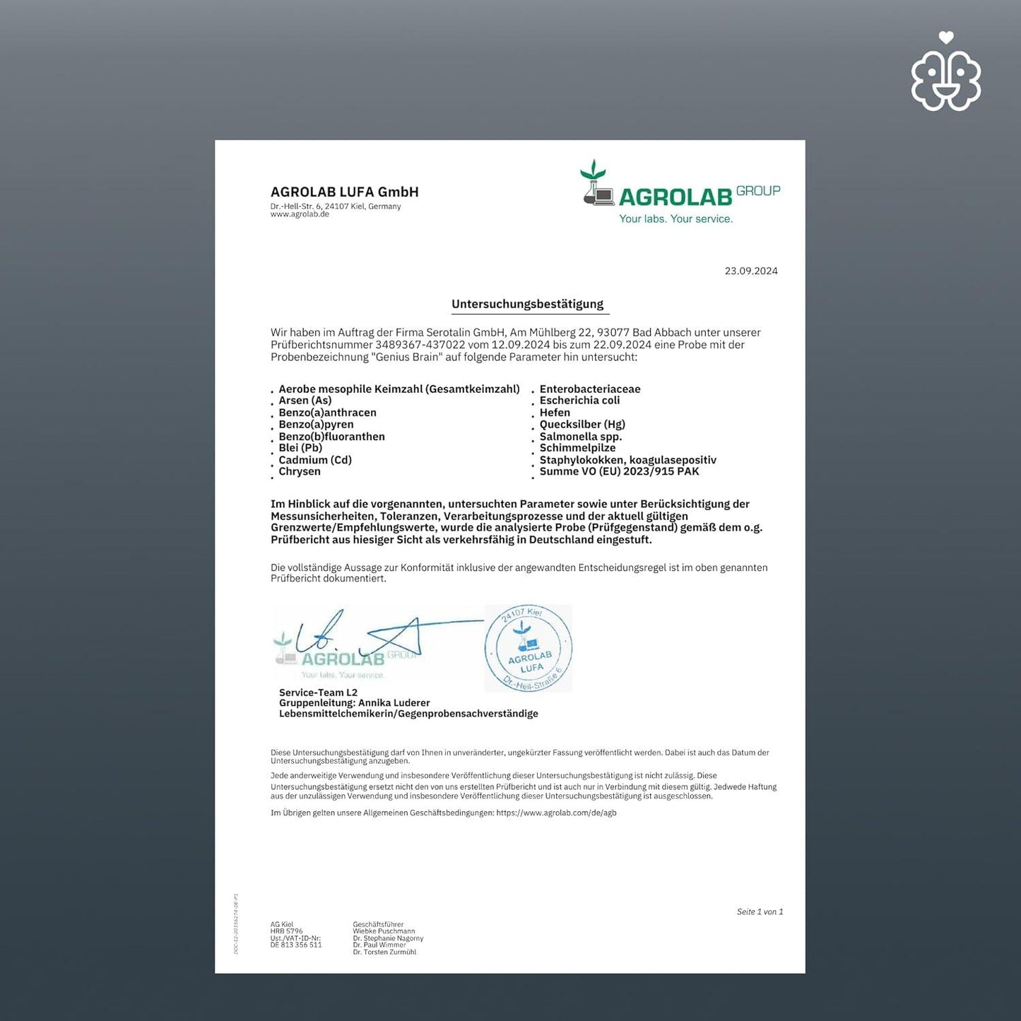 serotalin® GENIUS BRAIN KAPSELN | Mit +CDP-Cholin +L-Tyrosin +Vitamin B6 +Vitamin B12 | 60 vegane Kapseln - urmax