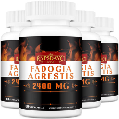 Rapsdayci Fadogia Agrestis, 2400 mg, Hochwirksamer 50:1-Extrakt, Leistungsstarkes Fadogia Agrestis-Ergänzungsmittel (60 stück (1er Pack)) - urmax