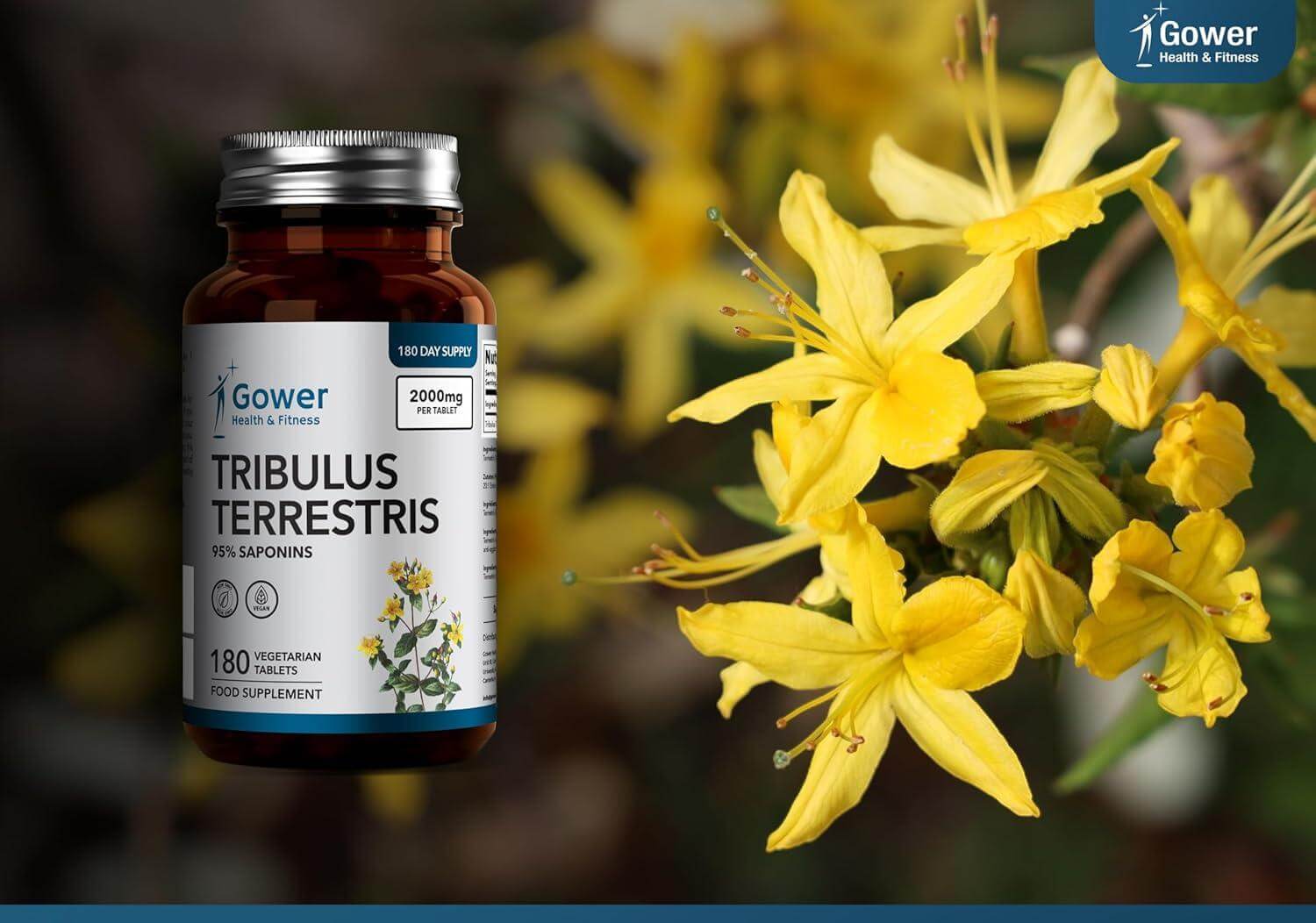 GH Tribulus Terrestris | 180 Таблетки | Високодозирана Формула – 2000 mg на Таблетка 🔹 Натурална подкрепа за енергия, издръжливост и баланс! - urmax