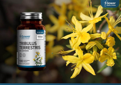 GH Tribulus Terrestris | 180 Таблетки | Високодозирана Формула – 2000 mg на Таблетка 🔹 Натурална подкрепа за енергия, издръжливост и баланс! - urmax