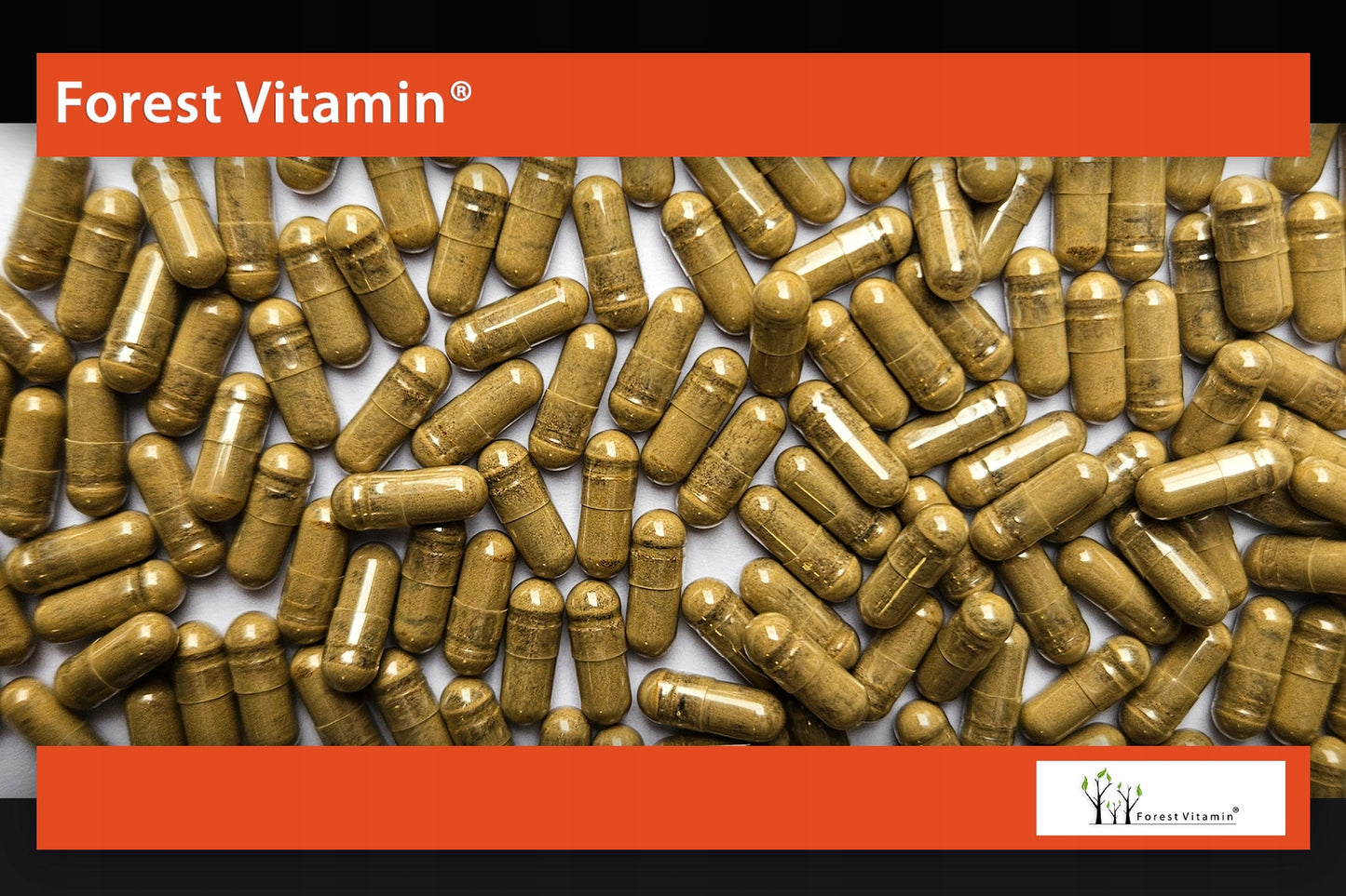 🌿 ASHWAGANDHA STRONG – 100 Kapseln | 120 mg Extrakt | 8 % Withanolide