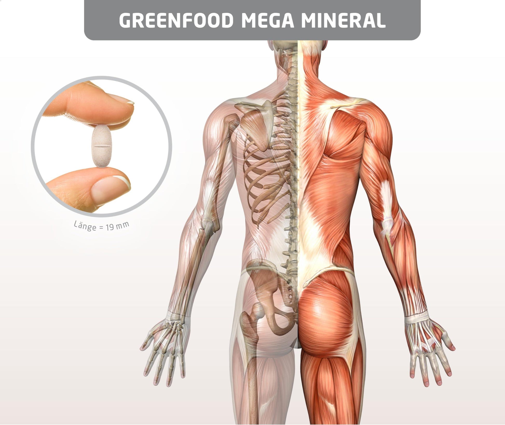 Greenfield Wild Mega Mineral Day Essential Minerals and Trace Elements needed, Tablets, Hochdosiert – High Organic Availability, , , - urmax