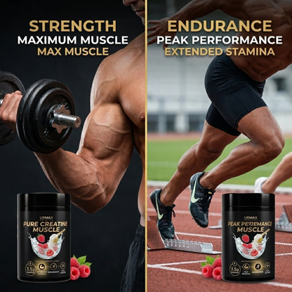 URMAX™ Pure Creatine Muscle – Rich Raspberry | 100% Microfiltered Creatine Monohydrate