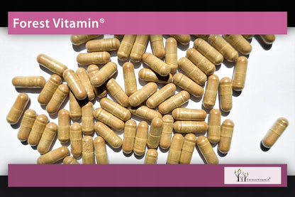 🟢 WALD-MARIENDISTEL 10000 mg – 100 Kapseln. Kraftvolle Formel mit 80 % Silymarin für Entgiftung, Leber und allgemeine Gesundheit!